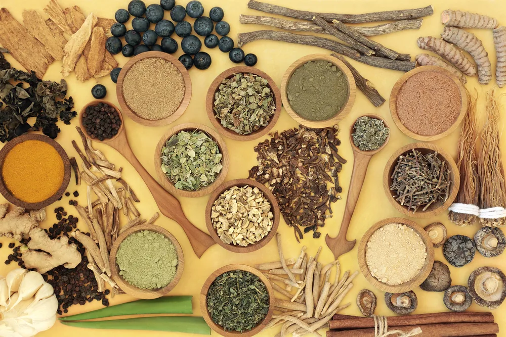 adaptogen health food with herbs spices and supplement powders natural
