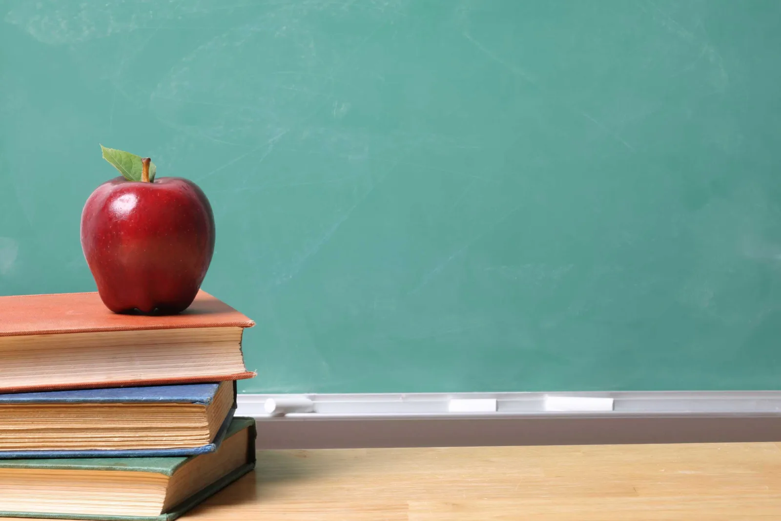 back to school marketing ideas for businesses