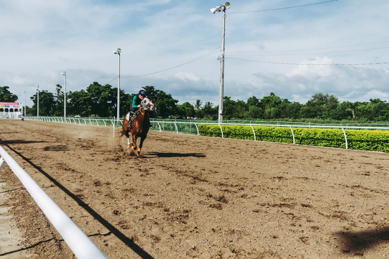 betting on horseracing at the track with people watching