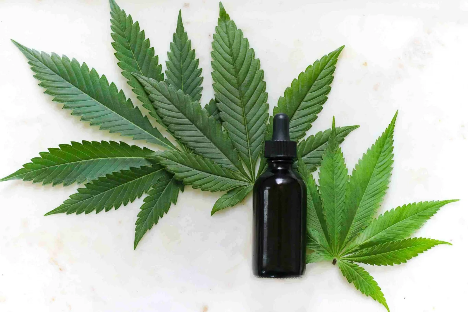 cbd oil bottle with dropper on a wooden table