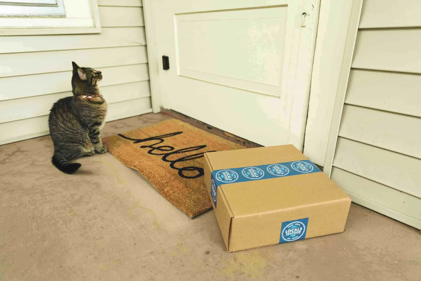 delivery subscription service for easy online ordering and home delivery