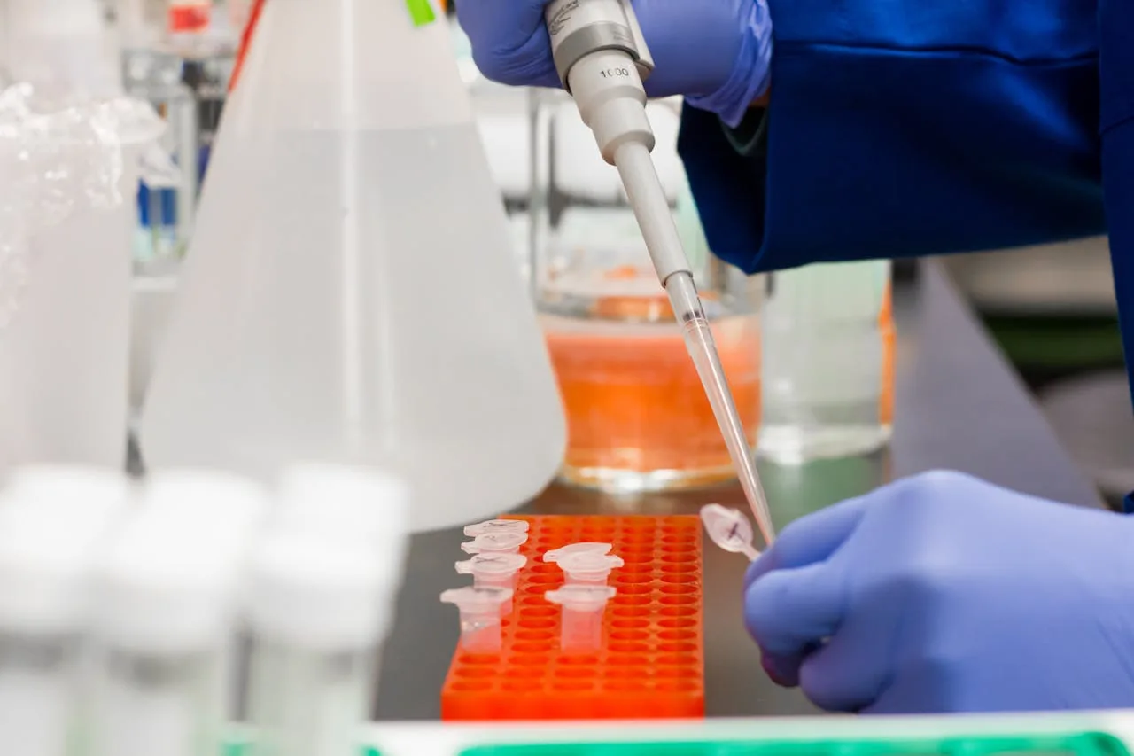 healthcare science technology professional working in a lab
