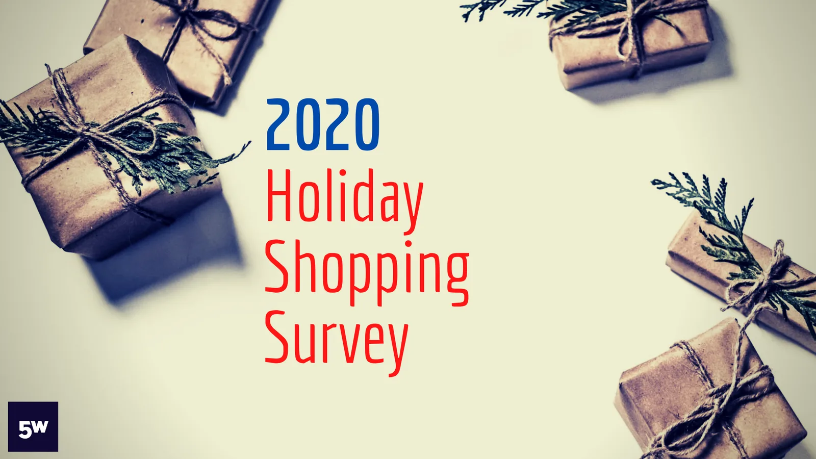 holiday shopping survey results infographic showing consumer trends