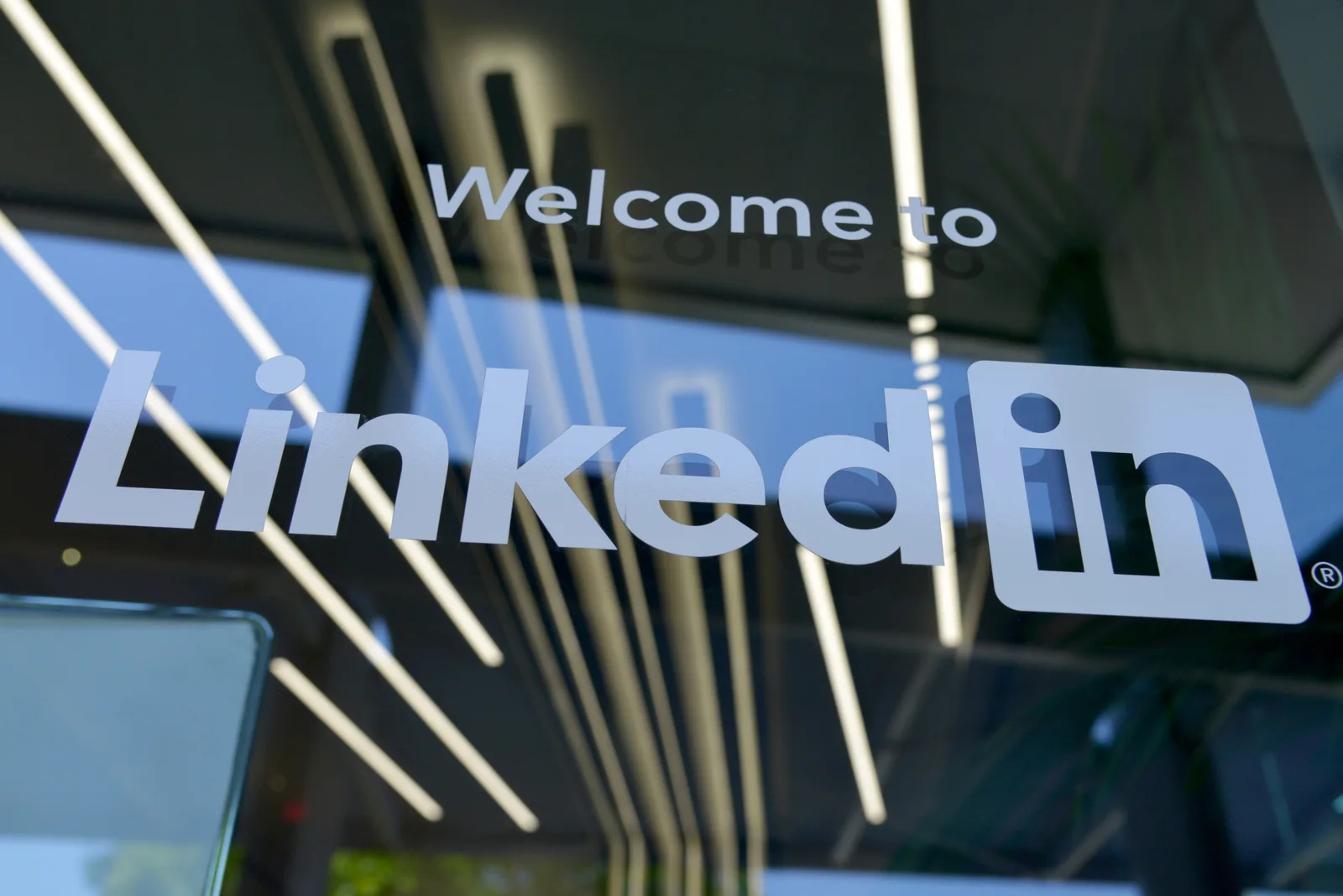 linkedin business newsletter with professional content and engaging visuals
