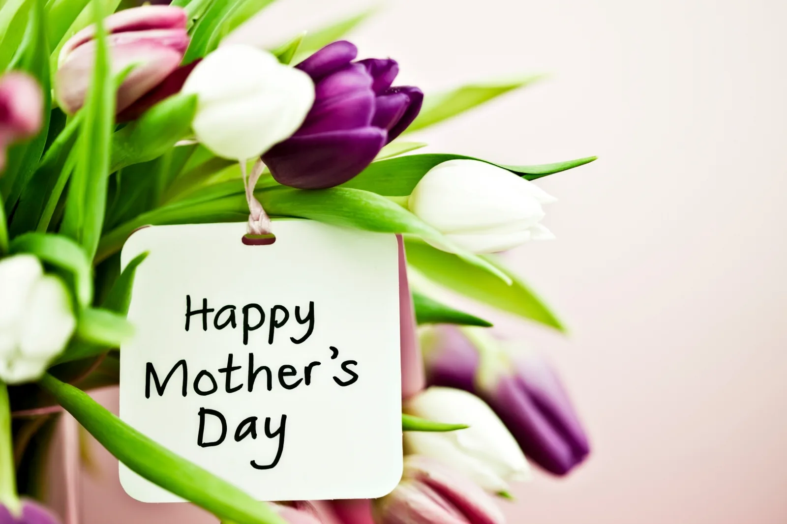 beautiful bouquet of colorful flowers for mothers day