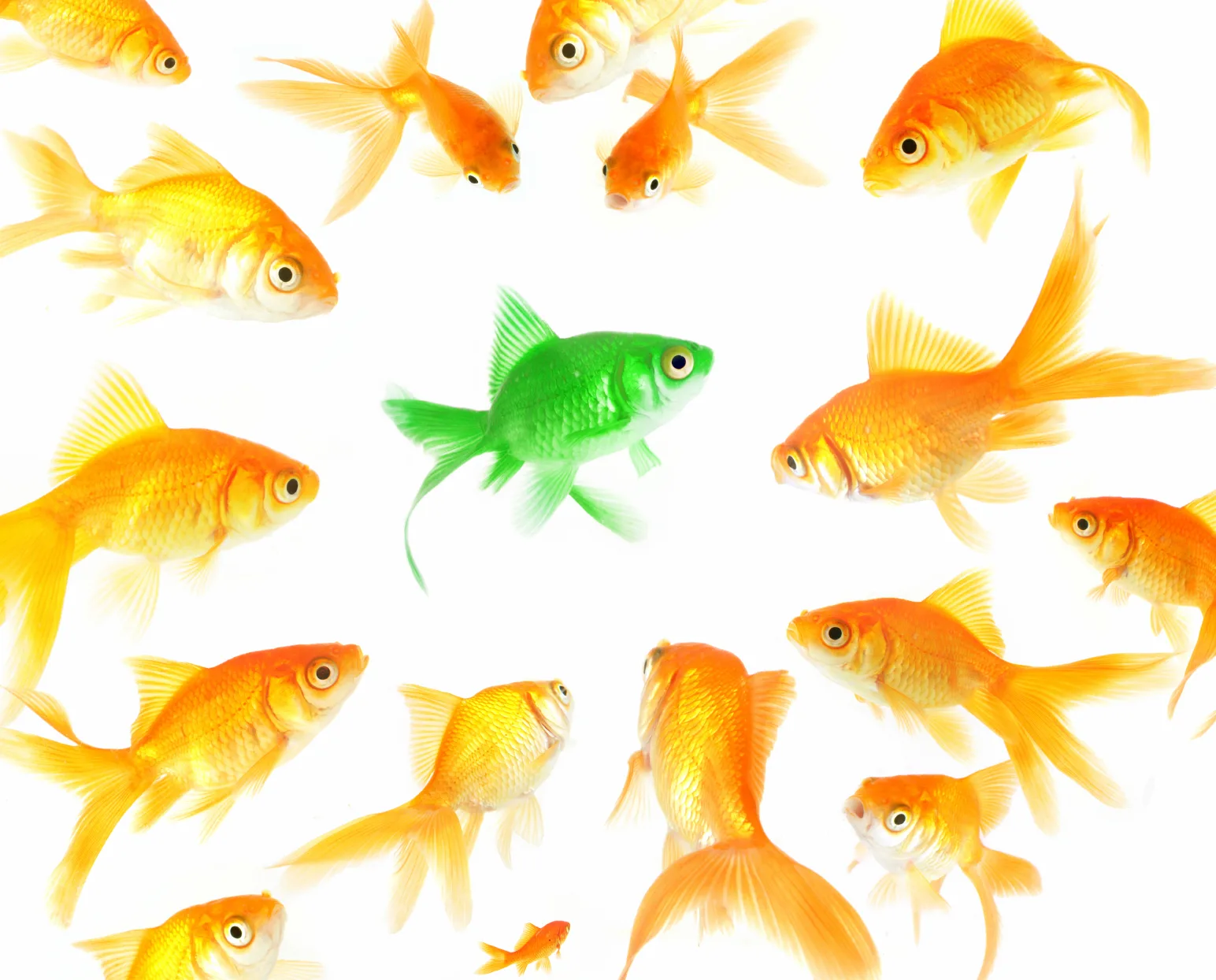self branding marketing strategies for professionals