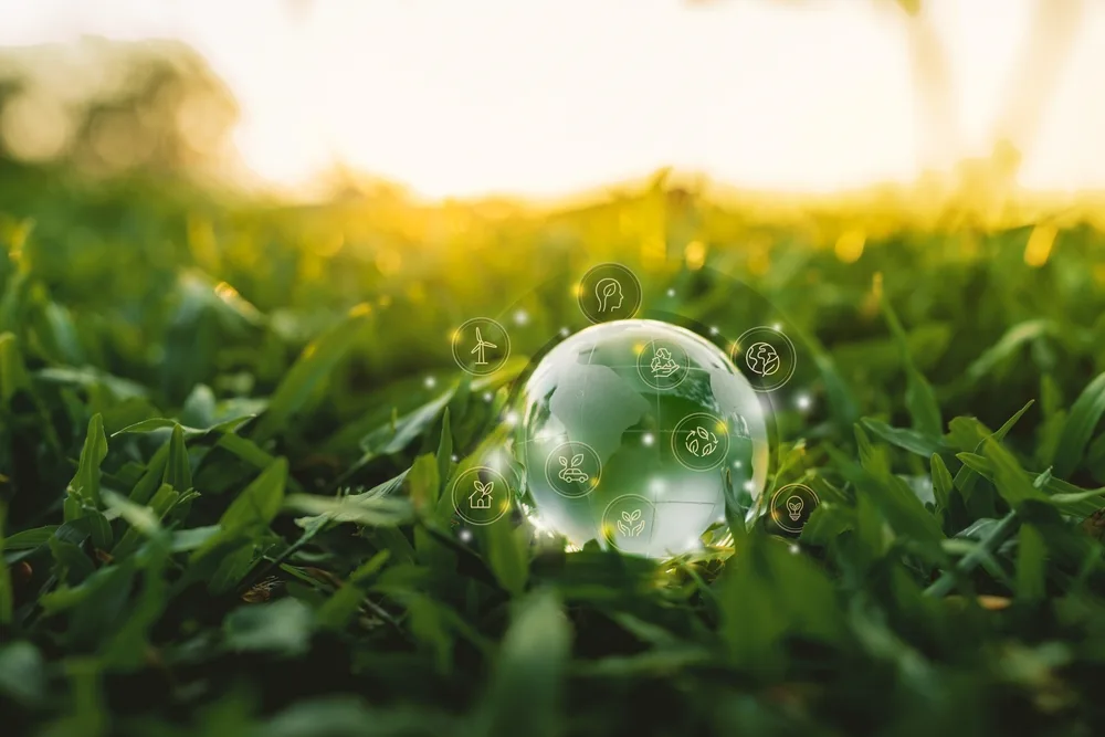 sustainable future concept glass globe on green grass