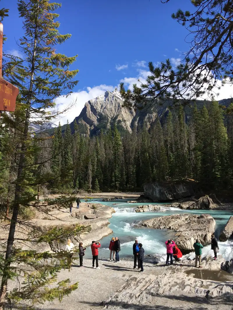 tourist attraction with people enjoying a sunny day outdoors
