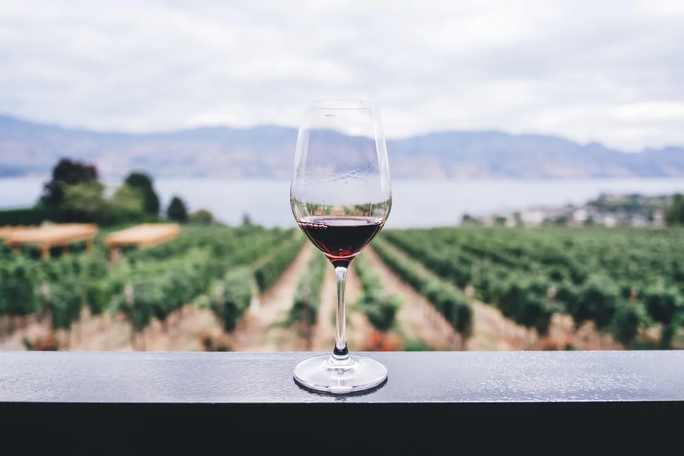 wine pr campaign showcasing a bottle of wine