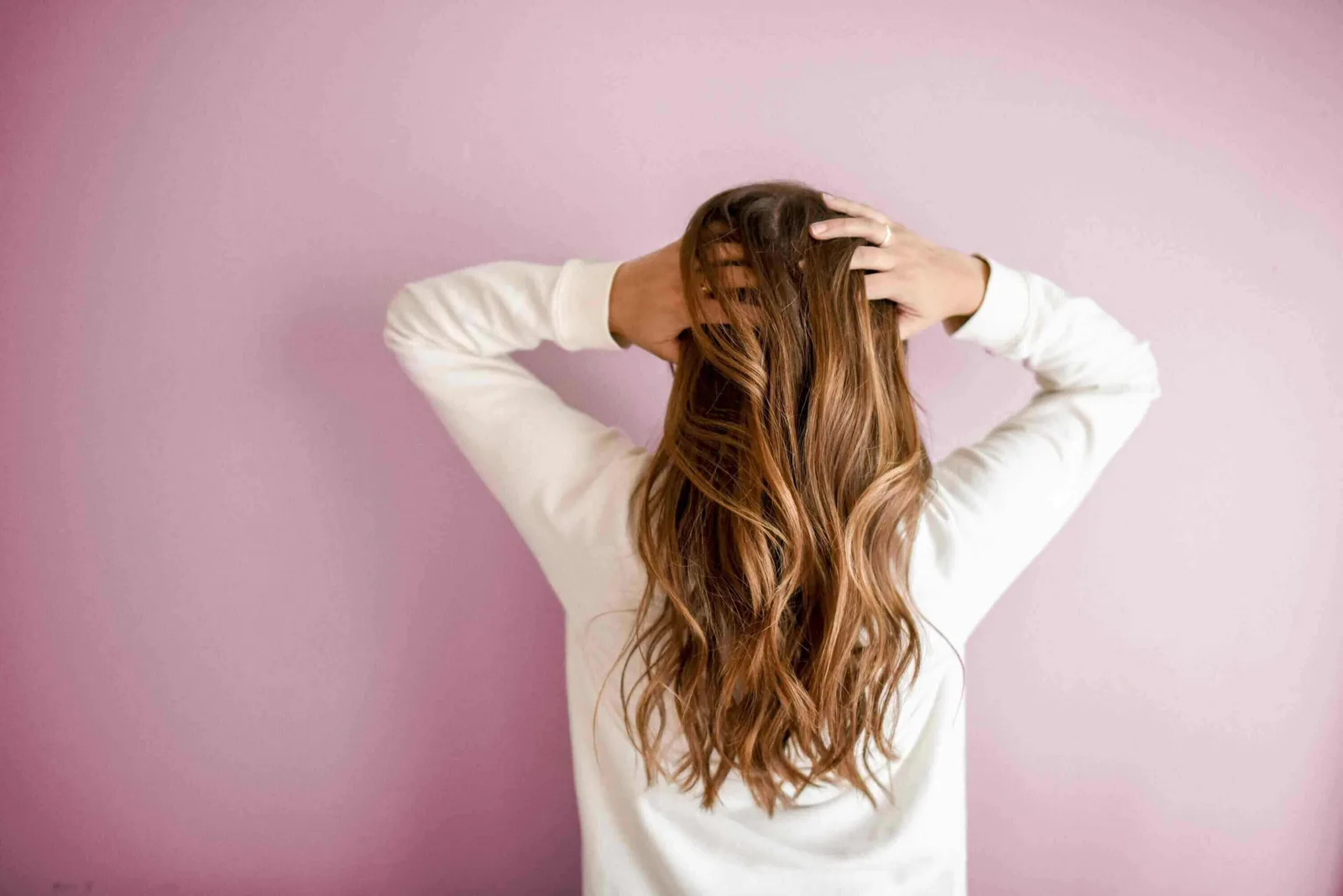 diverse styles of women's hair on display