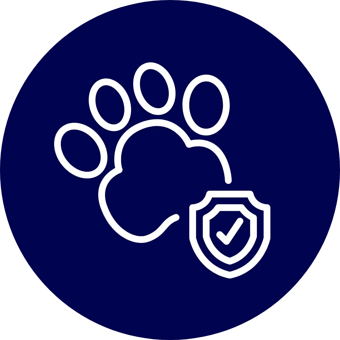 Pet Insurance