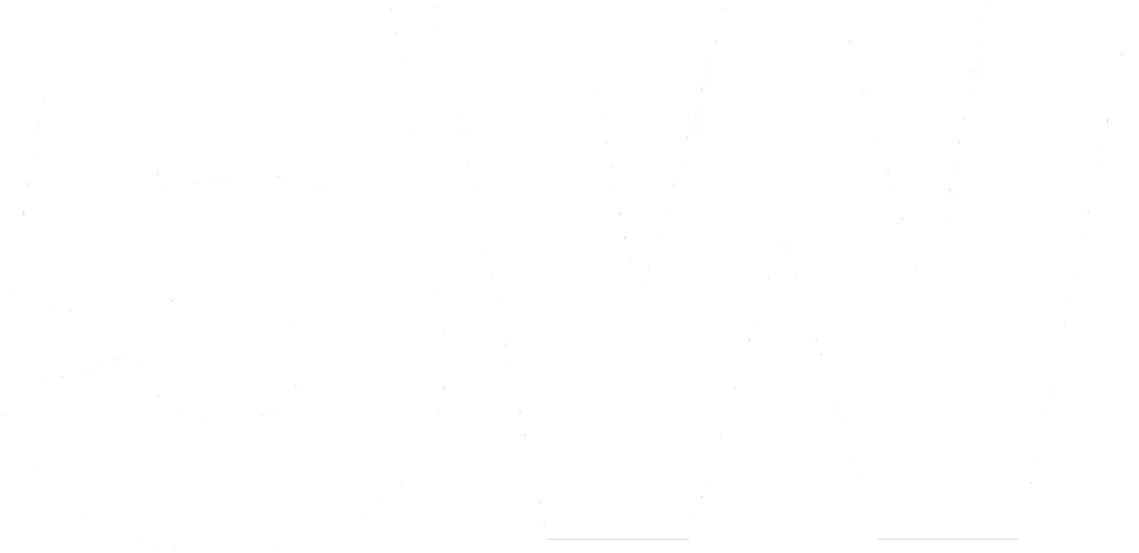5W White Logo