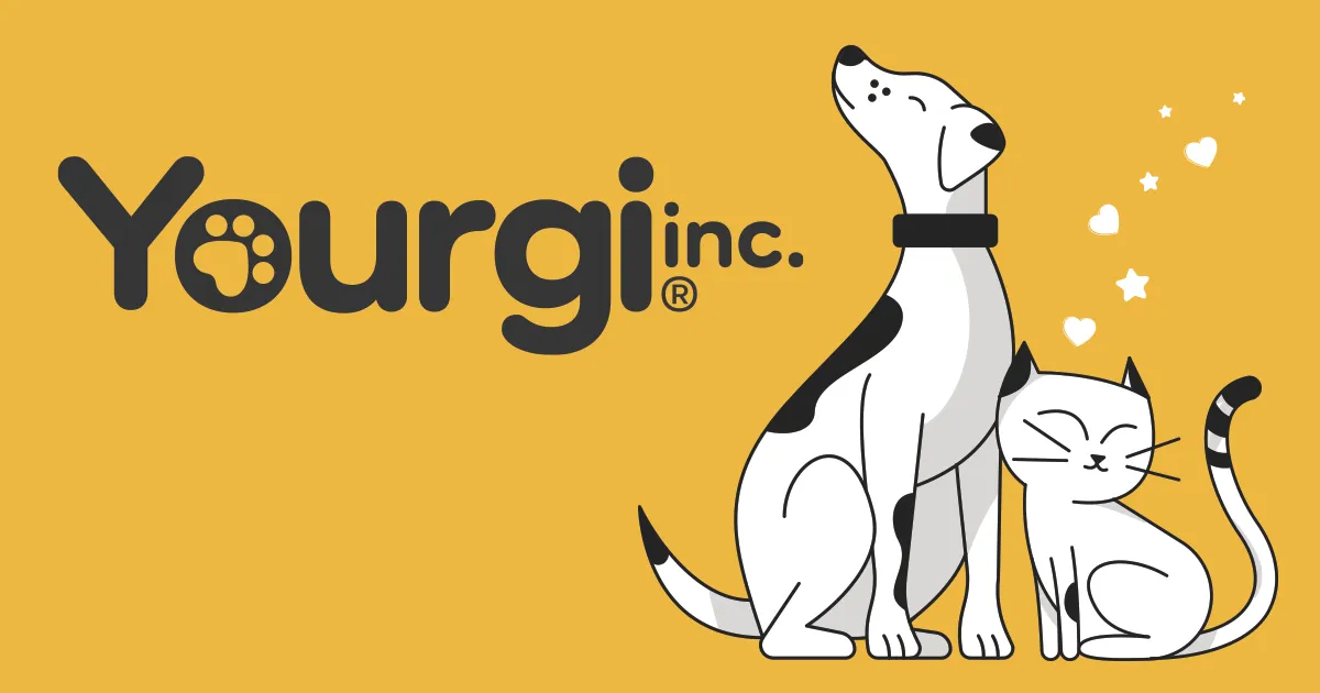 Scaling a Pet Care Startup: Yourgi's Full-Funnel Launch Strategy