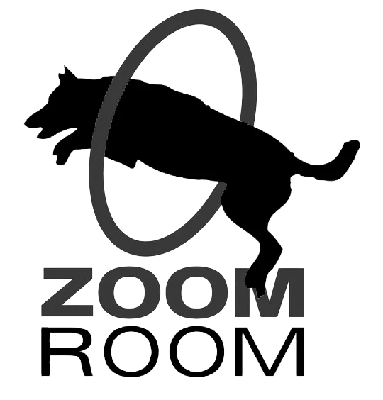Zoom Room