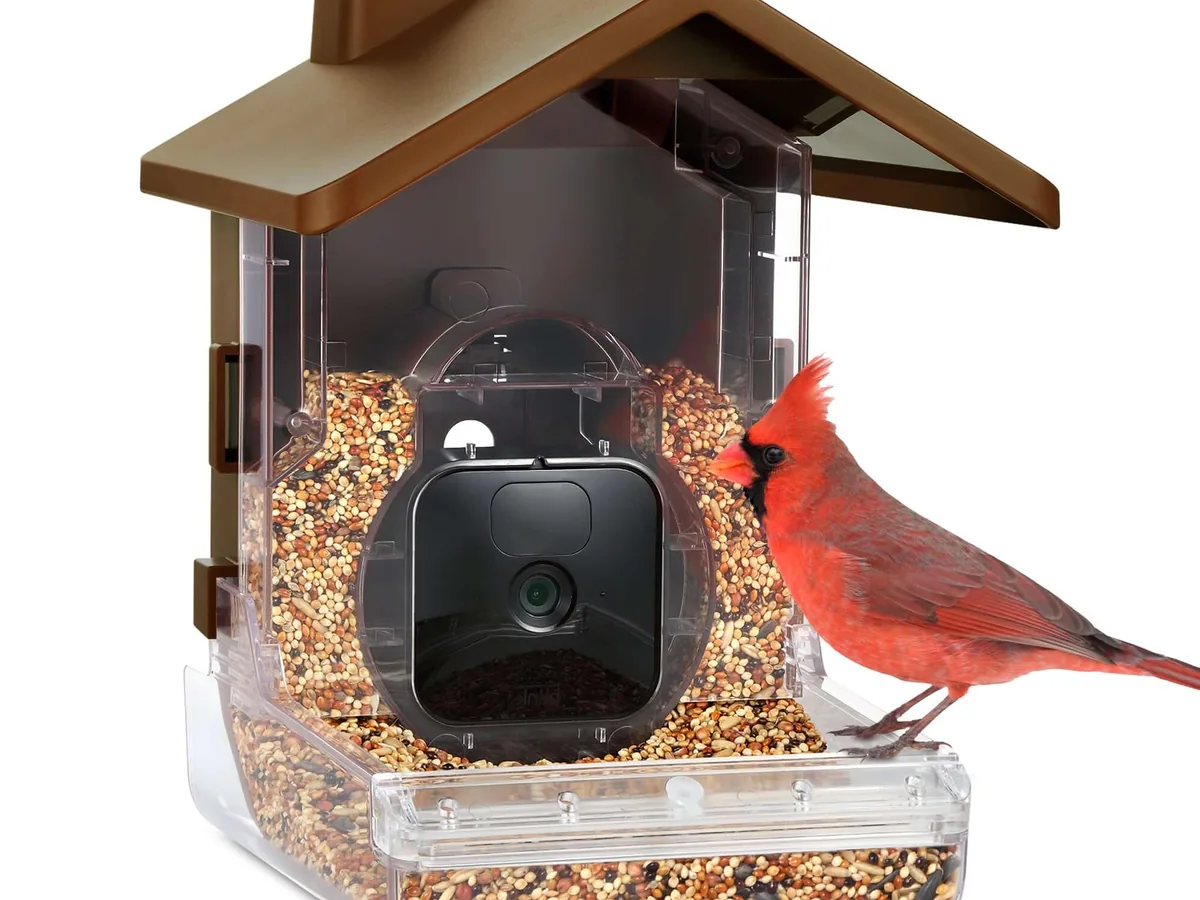 Wasserstein smart camera bird feeder